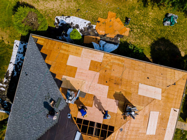 Best Storm Damage Roof Repair  in Fostoria, OH